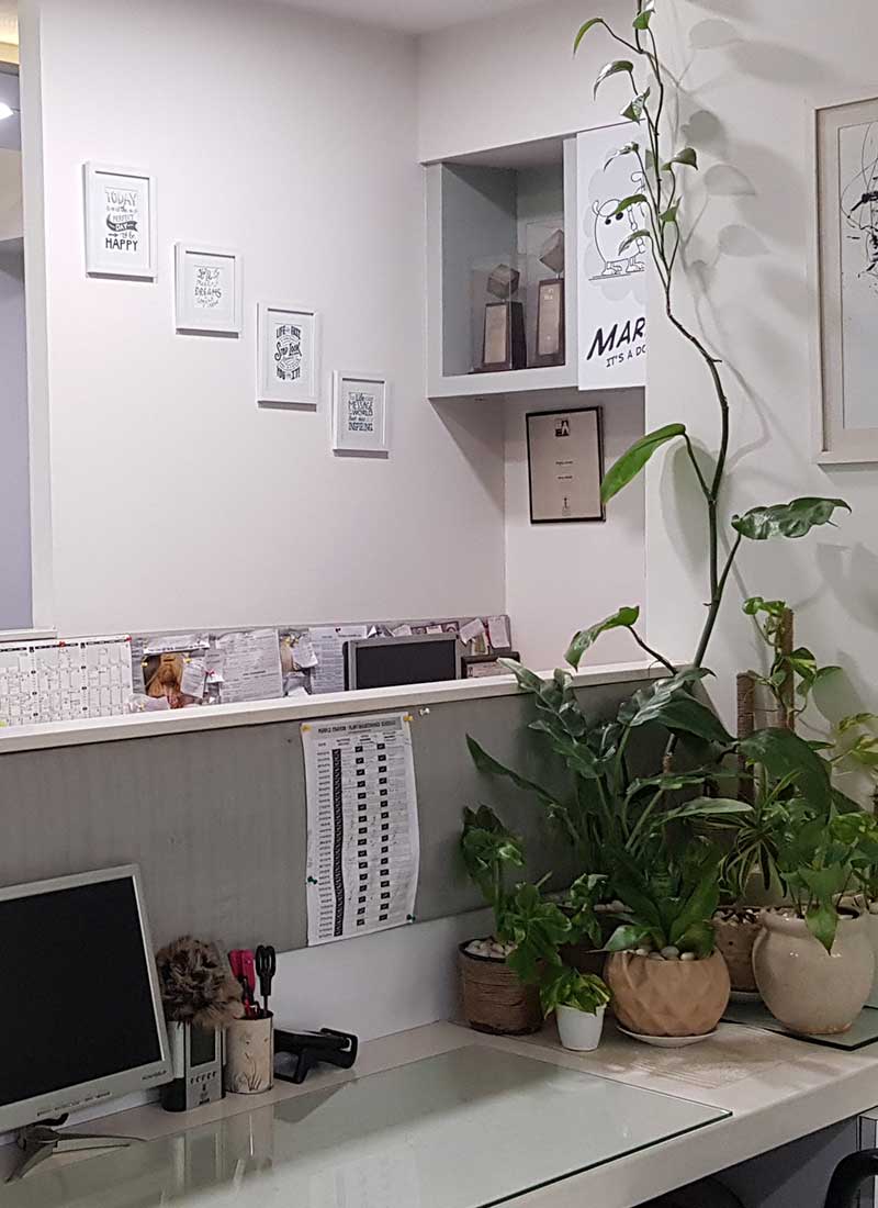 Purple Crayon Office
